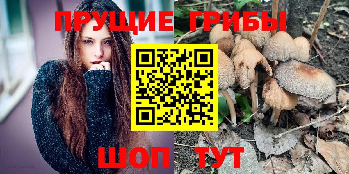 Псилоцибиновые грибы MAGIC MUSHROOMS  Вход с VPN  Коммунар 