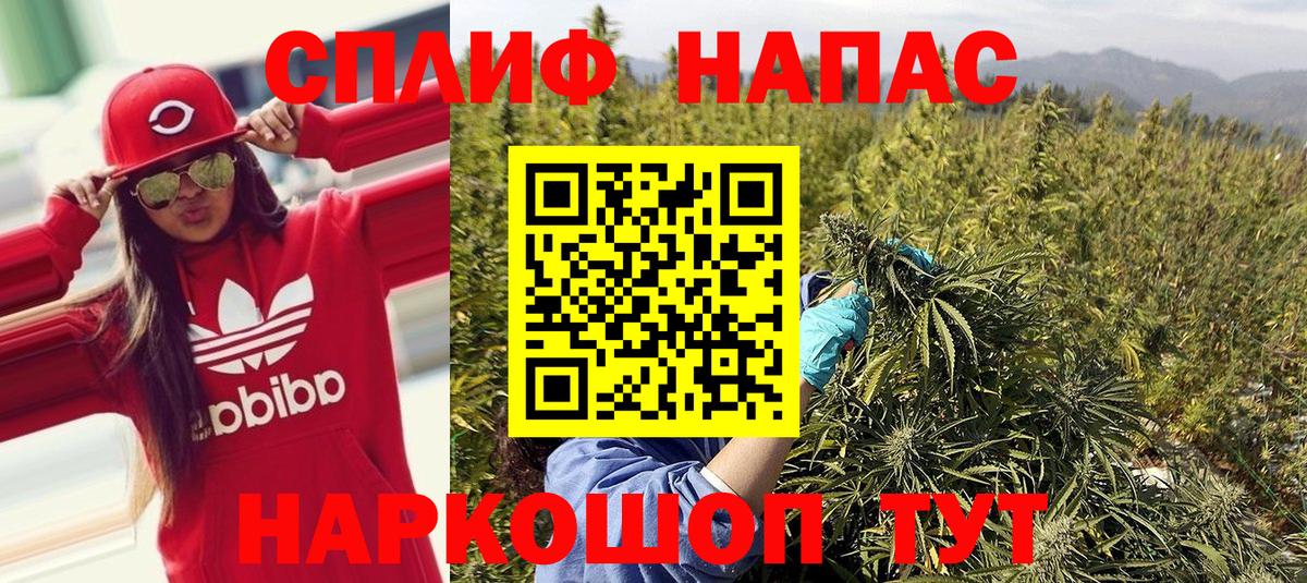 Бошки марихуана сатива Коммунар